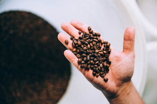 Flat White vs Latte: la cultura australiana del café llegó a Arica